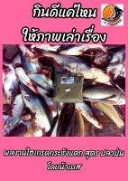 ไฮเกรด กระชังแตก สูตร ปลาป่น บรรจุ 300 กรัม/ซอง เหยื่อตกปลา หัวเชื้อ ใช้ผสม ขนมปัง รำ ปั้น ตาเบ็ด ตกปลา ได้