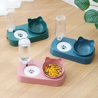 Cat Bowl with Stand Automatic Water Storage Dispenser Pet Cat Food Bowl 2-in-1 Splash-proof Water Container Pet Cat Feeder Bowl