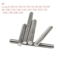 2/10pcs/lot Stainless steel full thread rod threaded bar M6x30/40/50/60/70/80/90/100/120/150 to 250mm