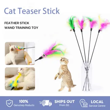 Cat Toy Feather Wand - Best Price in Singapore - Apr 2024