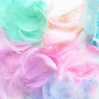 Soft Fluffy Plume 100 pcs 4-8 ซม. 8-12 ซม. ลอย Goose Feather DIY ขนนกขนาดเล็กเทศกาลปาร์ตี้ DIY Craft งานแต่งงานตกแต่ง-final1