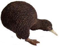 ? Genuine and exquisite model Animals of Australia kiwi simulation wild animal model toy 55 cm75340