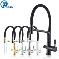 Caldwelllj POIQIHY Pure Water Filter Kitchen Faucet Pull Down Filtered Faucets Black Brass Crane Dual Handle Spout Hot Cold Mixer Tap