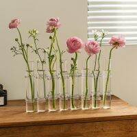 【CW】◙♗  GIEMZA Glass Bud Vases Test Tube Vase Propagation Wedding Centrepiece Floral Decoration