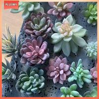 PLLEWY DIY พืชปลอม เครื่องประดับห้องนั่งเล่น ตกแต่งสวนบ้าน พืช succulents ประดิษฐ์ เดสก์ท็อปสีเขียว บอนไซขนาดเล็ก