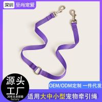 [COD] Cross-border foreign trade factory solid pet one tow two pull ropes outdoor tethered dog walking nylon double-ended leash