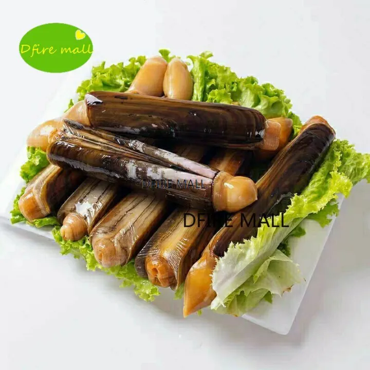 (Good Quality, Fast Delivery) New Dried Jellyfish, Dried Jellyfish Meat