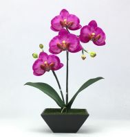 กระถางดอกไม้ประดิษฐ์ตกแต่งบ้าน Artificial Orchid arrangement in ceramic pot