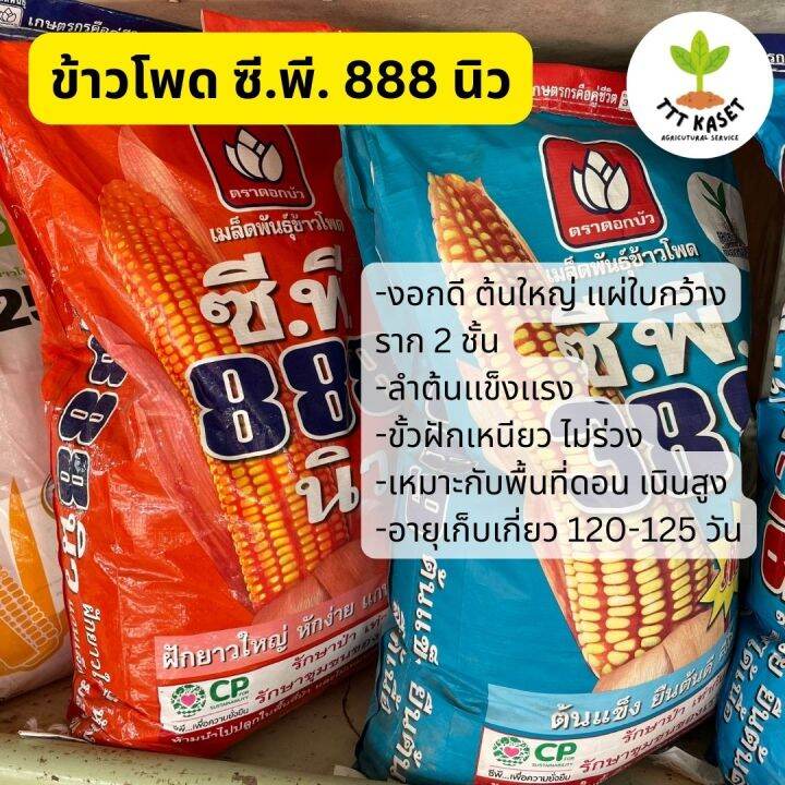 เมล็ดพันธุ์ข้าวโพด-เมล็ดข้าวโพด-ซีพี-888-นิว-ตราดอกบัว-ขนาด-10-กิโล-3-หุน-ต้นเเข็งเเรง-ฝักเหนียว-ttt-kaset