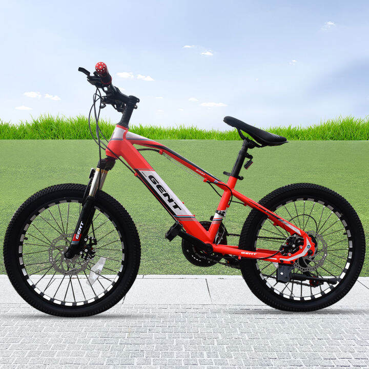 mini mountain bike for adults