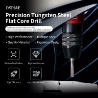 ◇✻✈ DSPIAE FB Precision Tungsten Steel Flat Core Drill