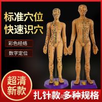 Wholesale mannequin body through the men and women lettering massage the whole body acupuncture teaching medical home