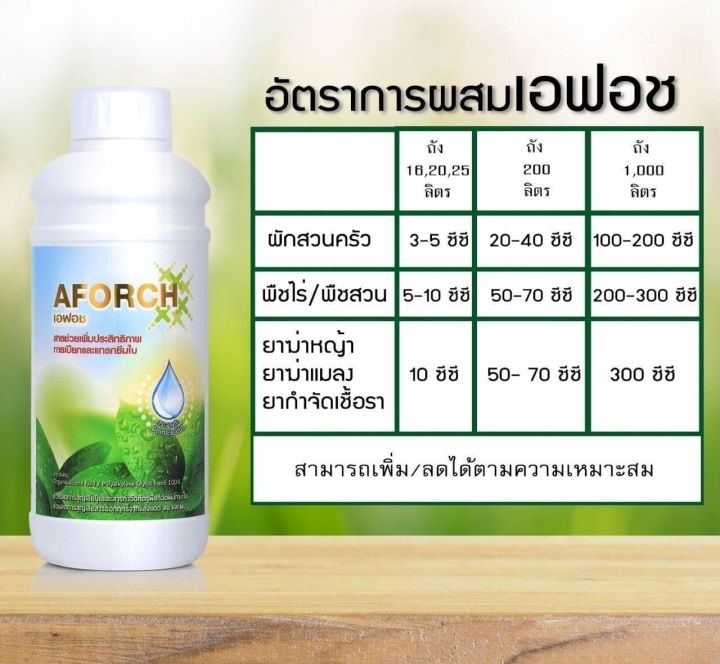 เอฟอชสารจับใบ-aforch-สารดูดซึมเอฟอช-ขนาด-1-ลิตร-ช่วยเพิ่มประสิทธิภาพการเปียกและแทรกซึมใบช่วยลดการใช้-สารจับใบ-ชนิดพิเศษ-เร่งการดูดซึม