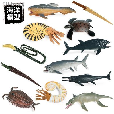 🎁 ของขวัญ เด็กจำลองยุคก่อนประวัติศาสตร์มหาสมุทรสัตว์ขนาดเล็กรุ่น clover แอมโมไนต์ ichthyosaur Deng ปลาของเล่นตกแต่ง