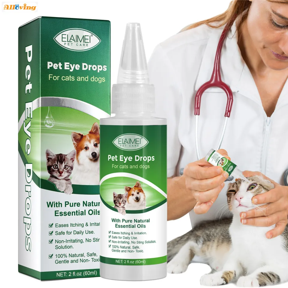 Cat conjunctivitis outlet eye drops