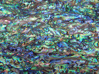 ；。‘【 Natural Dark Mexico Abalone Shell Paper,Inlay Material Blank