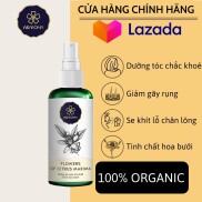 Tinh Dầu Hoa Bưởi Mọc Tóc Nhanh Dài Asaroma Dưỡng Tóc Không Bết Chống Hói