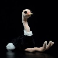 hot！【DT】♘♟  28cm Lifelike Stuffed Animals Real African Birds Birthday Gifts Kids