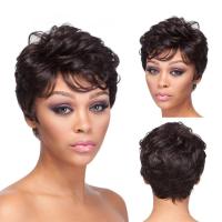 Curly Human Hair Wigs For Black Women Natural Color Wigs For Women Black A5N2