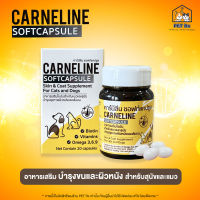 Carneline [แท้?] อาหารเสริมบำรุงขนและผิวหนัง สำหรับสุนัขและแมว (คาร์นีลีน) 20 แคปซูล