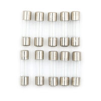 FUYU 10pcs Glass Tube FUSE 5mm x 20mm 1.6A T1.6A 250V SLOW blow 1.6amps