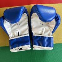 ?Original Brand New Flash Kids Cartoon Dinosaur Boxing Gloves Childrens Boxing Gloves Best Selling