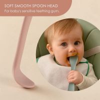 6Pcs Silicone Baby Feeding Spoons,First Stage Baby Infant Spoons, Soft-Tip Gums/Baby Training Spoon Self Feeding