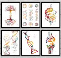 Dna double helix DNA conformation Tree Double Elbow Female muscle Anatomical Medical And Science canvas Poster