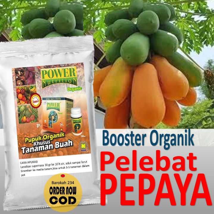 Pupuk Pepaya Organik Booster 30 Gr Agar Cepat Berbuah Pupuk Penyubur Tanaman Pepaya Agar Bunga 