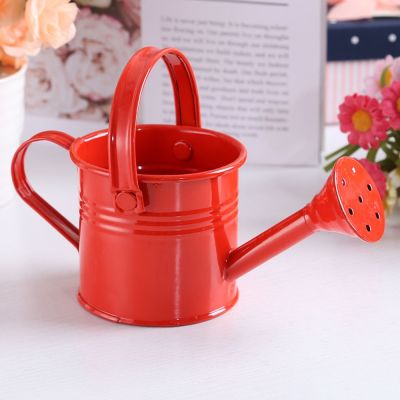 【CC】 Tin Watering Can Spray Wrought Iron Gardening Tools Metal Sprinkled With Handle Shower for   Irrigation