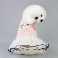 Brand 2019 New dog skirt clothes spring summer cute cat cotton pet lace princess dress clothes  coat Hot Sale Dresses