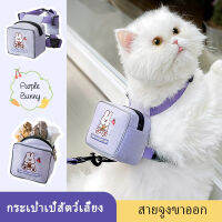 small backpack cat leash สายจูงแมวสะพายหลังขนาดเล็ก สายจูงแมว สายรัดอก สายจูงสุนัข เชือกจูงสัตว์เลี้ยง หลายสี หลายไซส์