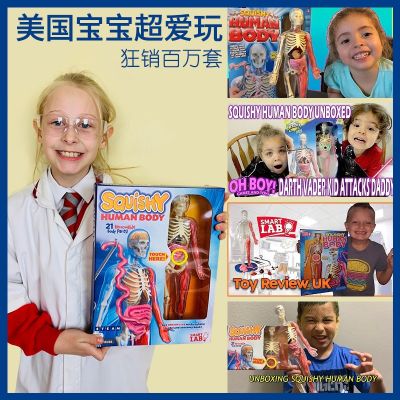 Smartlab model toys for children to explore the human anatomy organs need brain STEM bone science experiments