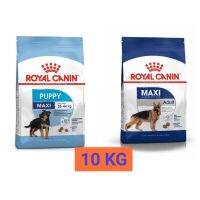 Royal Canin Maxi อาหารสำหรับสุนัขขนาดใหญ่ น้ำหนักโตเต็มวัย 26 - 44 กิโลกรัม มี 2 สูตร ขนาด 10 KG.