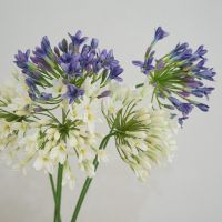 【LZ】✒﹊  Flor Agapanthus Artificial Flores de Seda Verde Decoração de Casamento Flores Artificiales