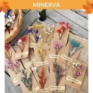 Combo 100 thiệp hoa khô mini thủ công handmade làm quà tặng , trang trí