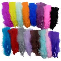 20Pcs แบน Fluffy ตุรกี Rooster Feathers สำหรับแมลงวัน Headdress Diy ตกแต่งตาราง Centerpiece Plumes งานแต่งงานงานฝีมืออุปกรณ์เสริมผม