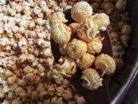 (ตรานกอินทรีย์) Mushroom Popcorn เมล็ดข้าวโพดดิบ เม็ดกลมใหญ่ ตรานกอินทรีย์ นำเข้าจากประเทศอเมริกา GMO Free จำนวน 1 Kg.