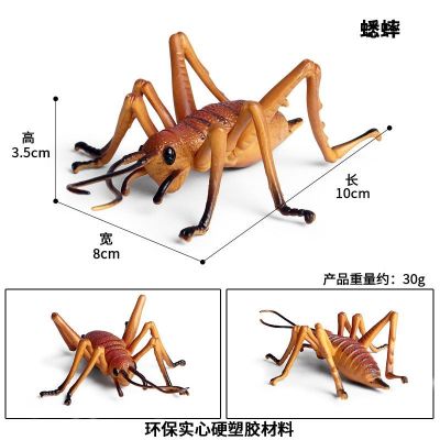 Simulation model of insects animals Halloween trick toys children educational science simulation cognitive toys
