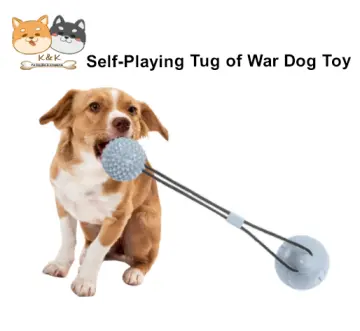 Suction Cup Dog Toy - Mounteen  Dog toys, Rope dog toys, Bored dog