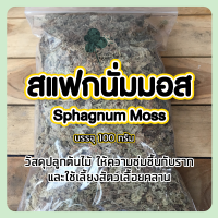 สแฟกนั่ม มอส (Sphagnum moss) 100 กรัม วัสดุปลูก วัสดุชำต้นไม้ ใช้เลี้ยงสัตว์เลื้อยคลาน Isopad