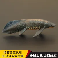 Childrens solid simulation marine animal toy model Australian lungfish static cognition gift decoration