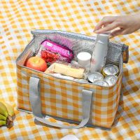 hot！【DT】✺■✐  Thermal Insulated for Food Beer Outdoor Thickened Aluminum Film Cooler Camping Handbag