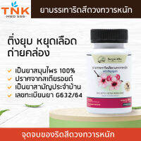 ยาบรรเทาริดสีดวงทวารหนัก กระปุกละ 300 เม็ด