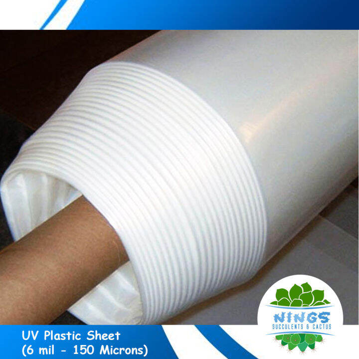 UV Plastic Sheet (6 mil 150 Microns) 2 x 1 Meter Lazada PH