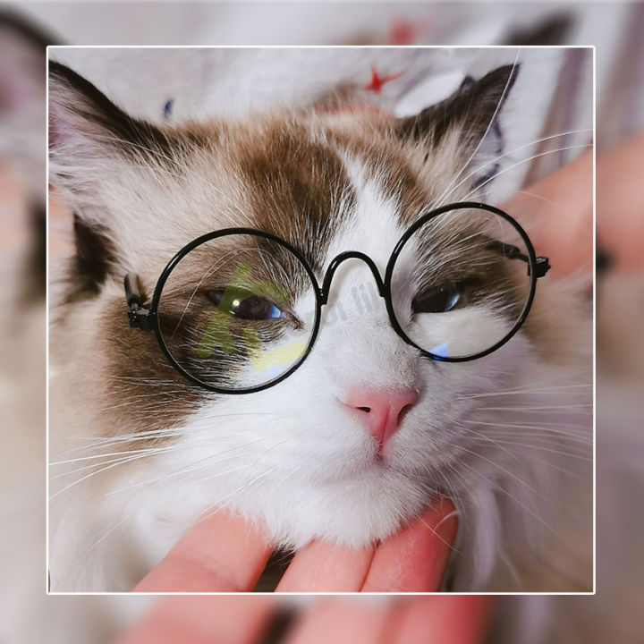 แว่นตาแฟชั่นสําหรับสัตว์เลี้ยงสุนัขแมว-แว่นตาสำหรับแมวอุปกรณ์เสริมสุนัขแว่นตาวงกลม-แว่นพร๊อพชิคๆเก๋ๆ-แว่นตาน้องแมว-นํ้าหนนักเบา