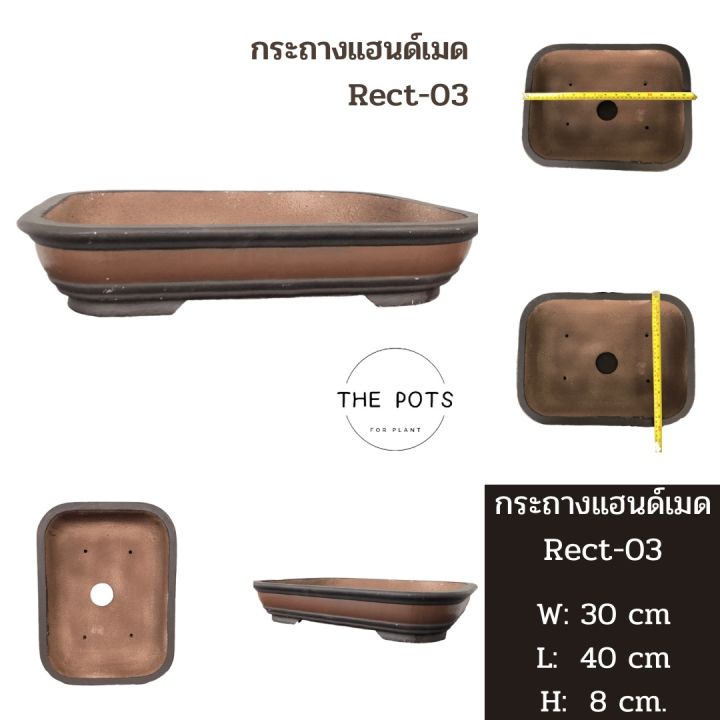 กระถางบอนไซ-กระถางชวนชม-กระถางปูนปั้นแฮนด์เมด-กระถางจัดสวนถาด-กระถางบอนไซขนาดใหญ่-กระถางปูนปั้นงานปั้นมือ-กระถางก้นตื้นใบใหญ่