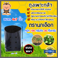 ถุงเพาะกล้า ขนาด 4x7 ตรานกเงือก หนัก 100 กรัมถึง 30 กิโลกรัม ถุงเพาะปลูก   ถุงเพาะต้นไม้ ถุงพลาสติกปลูกต้นไม้ ถุงดำเพาะกล้า ถุงปลูกต้นไม้