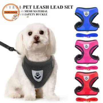 Chain harness on sale for dogs