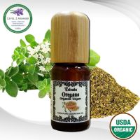 Oregano USDA Organic Essential Oil オレガノエッセンシャルオイルオーガニック น้ำมันหอมระเหย ออริกาโน ออร์แกนิค